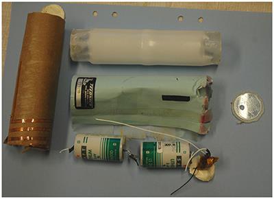 Long-Term Safety of Intraperitoneal Radio Transmitter Implants in Brown Bears (Ursus arctos)